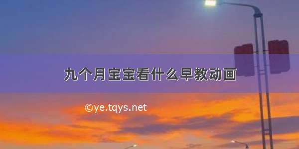 九个月宝宝看什么早教动画