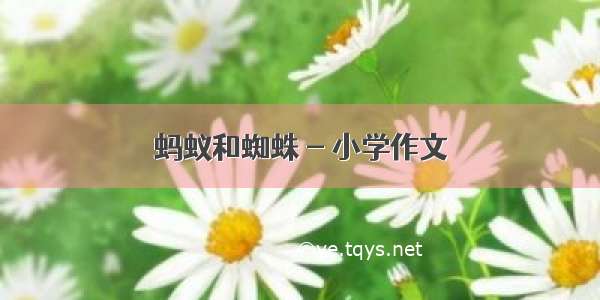 蚂蚁和蜘蛛 - 小学作文