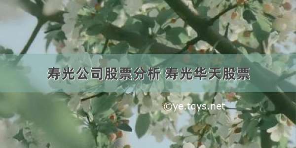 寿光公司股票分析 寿光华天股票