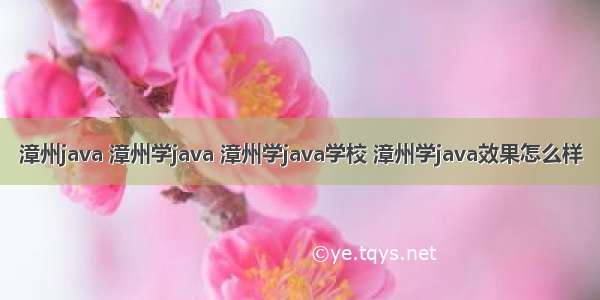 漳州java 漳州学java 漳州学java学校 漳州学java效果怎么样