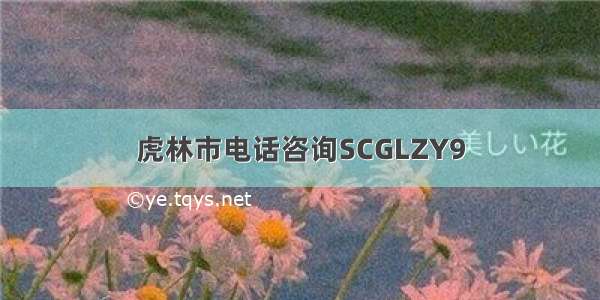 虎林市电话咨询SCGLZY9