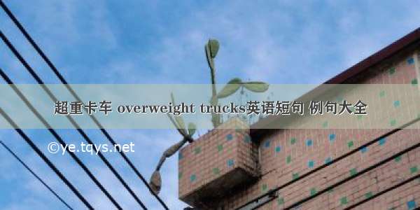 超重卡车 overweight trucks英语短句 例句大全