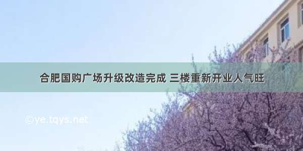 合肥国购广场升级改造完成 三楼重新开业人气旺