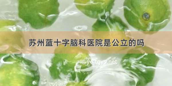 苏州蓝十字脑科医院是公立的吗