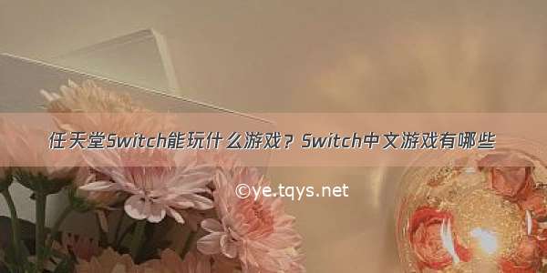 任天堂Switch能玩什么游戏？Switch中文游戏有哪些