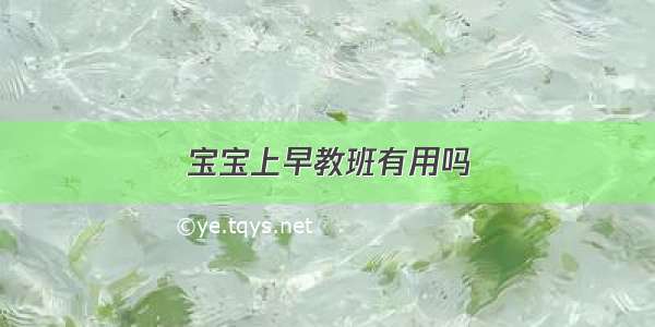 宝宝上早教班有用吗