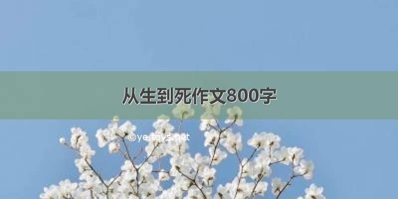 从生到死作文800字