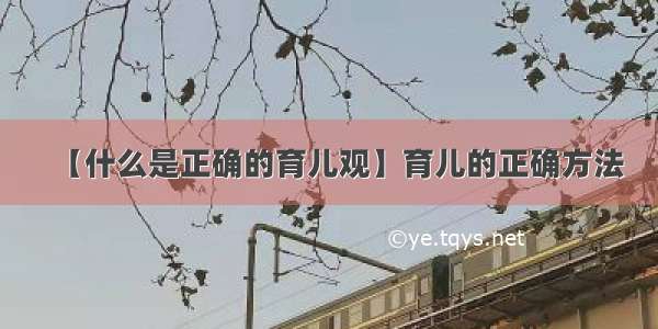 【什么是正确的育儿观】育儿的正确方法