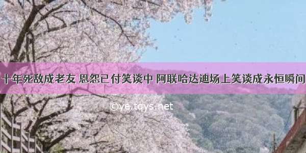 十年死敌成老友 恩怨已付笑谈中 阿联哈达迪场上笑谈成永恒瞬间