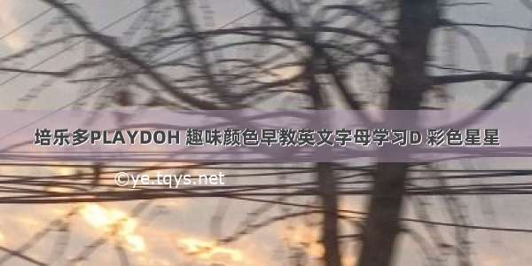 培乐多PLAYDOH 趣味颜色早教英文字母学习D 彩色星星