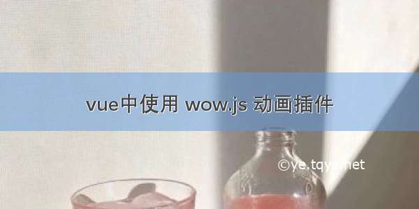 vue中使用 wow.js 动画插件