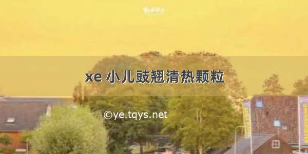 xe 小儿豉翘清热颗粒