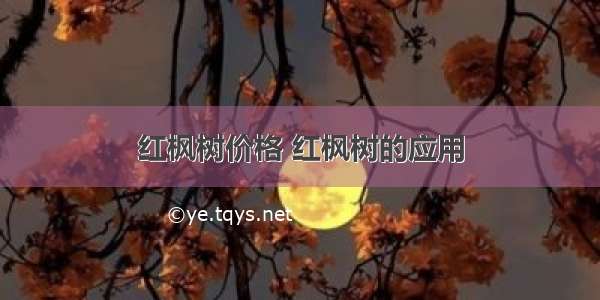 红枫树价格 红枫树的应用