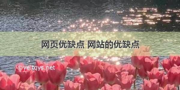 网页优缺点 网站的优缺点