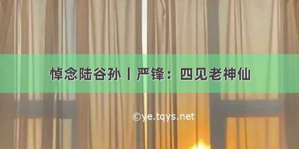 悼念陆谷孙丨严锋：四见老神仙