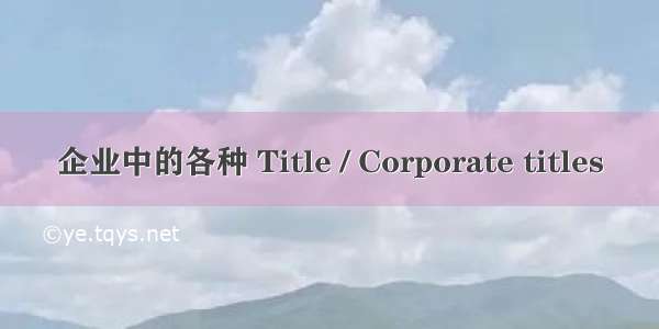 企业中的各种 Title / Corporate titles