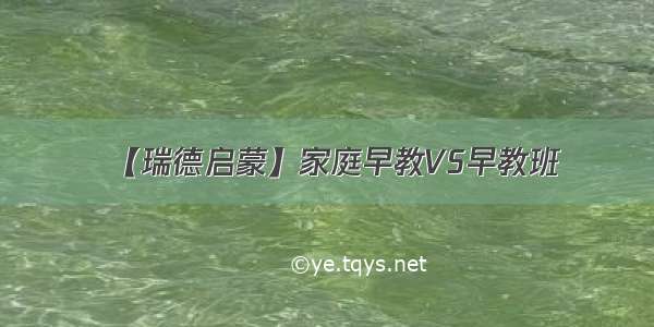 【瑞德启蒙】家庭早教VS早教班