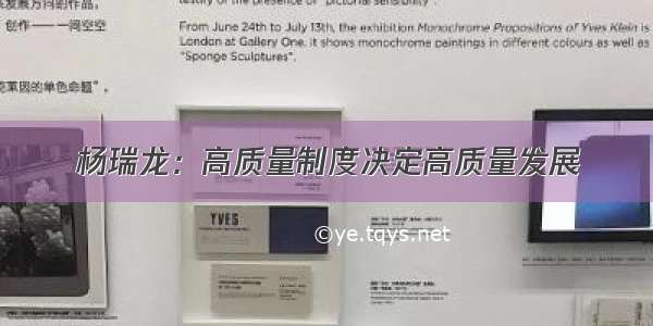 杨瑞龙：高质量制度决定高质量发展