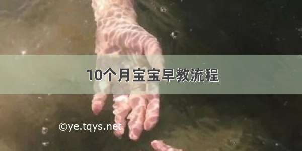 10个月宝宝早教流程