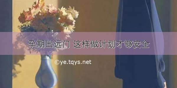 孕期出远门 这样做计划才够安全