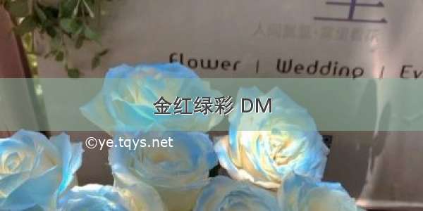 金红绿彩 DM