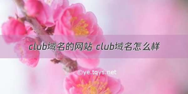 club域名的网站 club域名怎么样