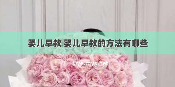 婴儿早教 婴儿早教的方法有哪些