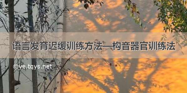 语言发育迟缓训练方法—构音器官训练法