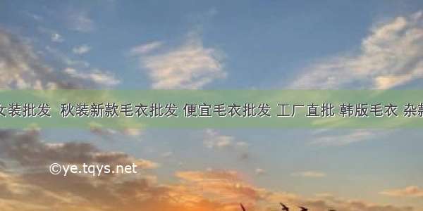 广州女装批发  秋装新款毛衣批发 便宜毛衣批发 工厂直批 韩版毛衣 杂款毛衣