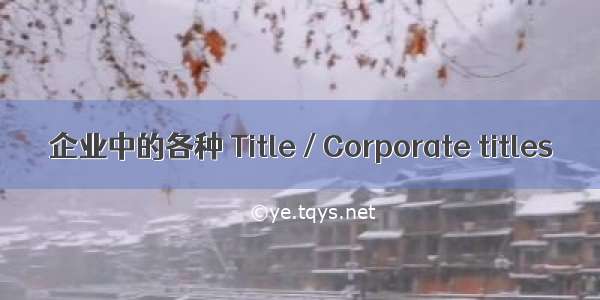 企业中的各种 Title / Corporate titles