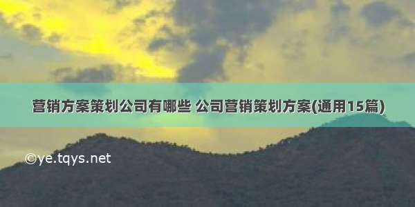 营销方案策划公司有哪些 公司营销策划方案(通用15篇)