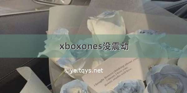 xboxones没震动