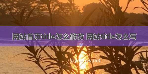 网站首页title怎么修改 网站title怎么写