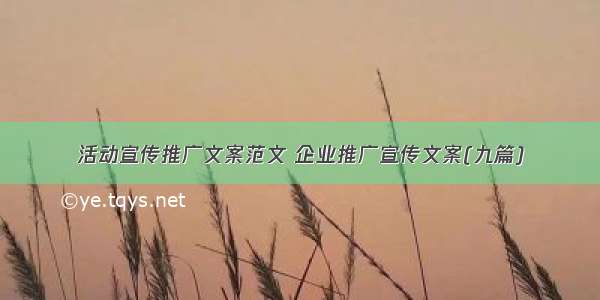 活动宣传推广文案范文 企业推广宣传文案(九篇)