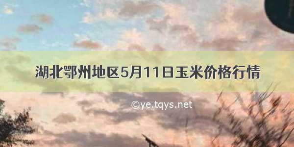 湖北鄂州地区5月11日玉米价格行情