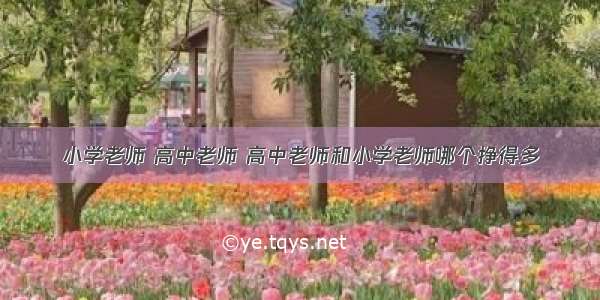 小学老师 高中老师 高中老师和小学老师哪个挣得多