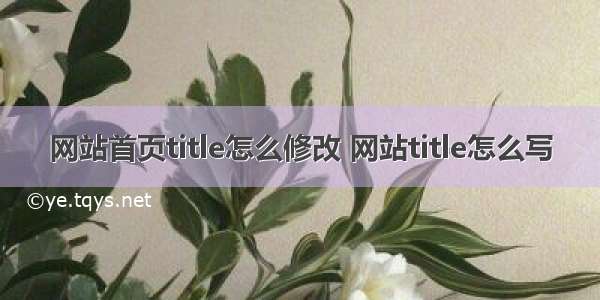 网站首页title怎么修改 网站title怎么写