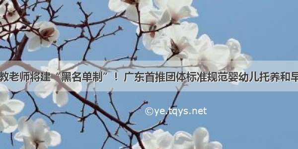 早教老师将建“黑名单制”！广东首推团体标准规范婴幼儿托养和早教