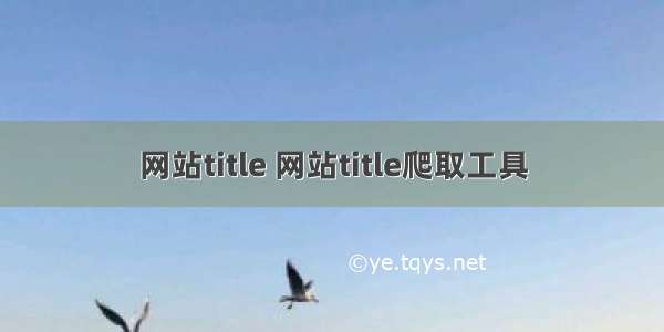 网站title 网站title爬取工具