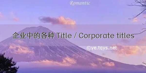 企业中的各种 Title / Corporate titles