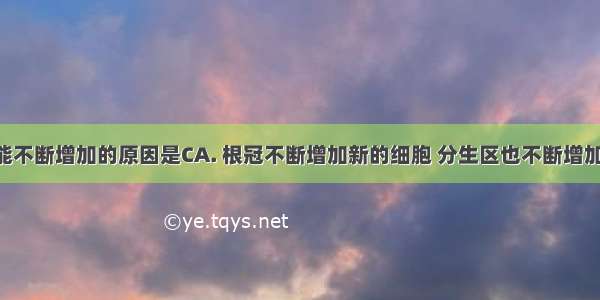 根的长度能不断增加的原因是CA. 根冠不断增加新的细胞 分生区也不断增加新细胞B. 