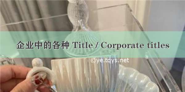 企业中的各种 Title / Corporate titles