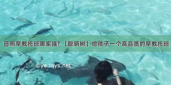 日照早教托班哪家强? 【聪明树】给孩子一个高品质的早教托班