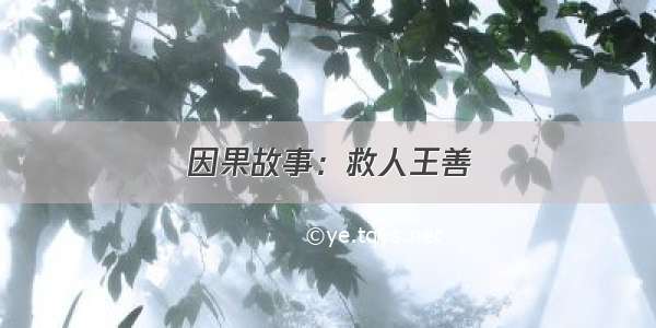 因果故事：救人王善