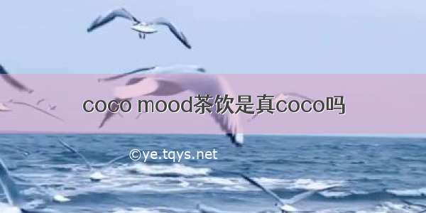 coco mood茶饮是真coco吗