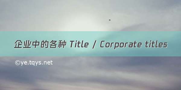 企业中的各种 Title / Corporate titles