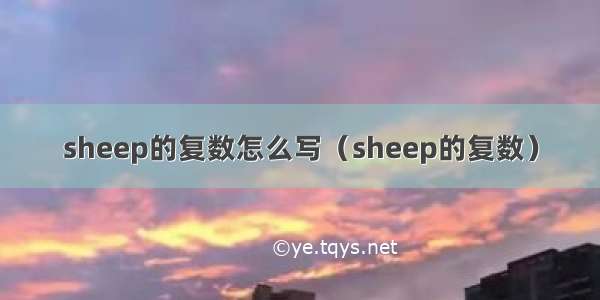 sheep的复数怎么写（sheep的复数）