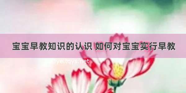 宝宝早教知识的认识 如何对宝宝实行早教