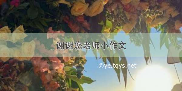 谢谢您老师小作文