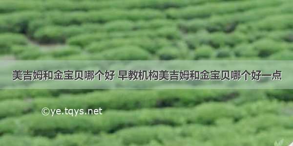 美吉姆和金宝贝哪个好 早教机构美吉姆和金宝贝哪个好一点